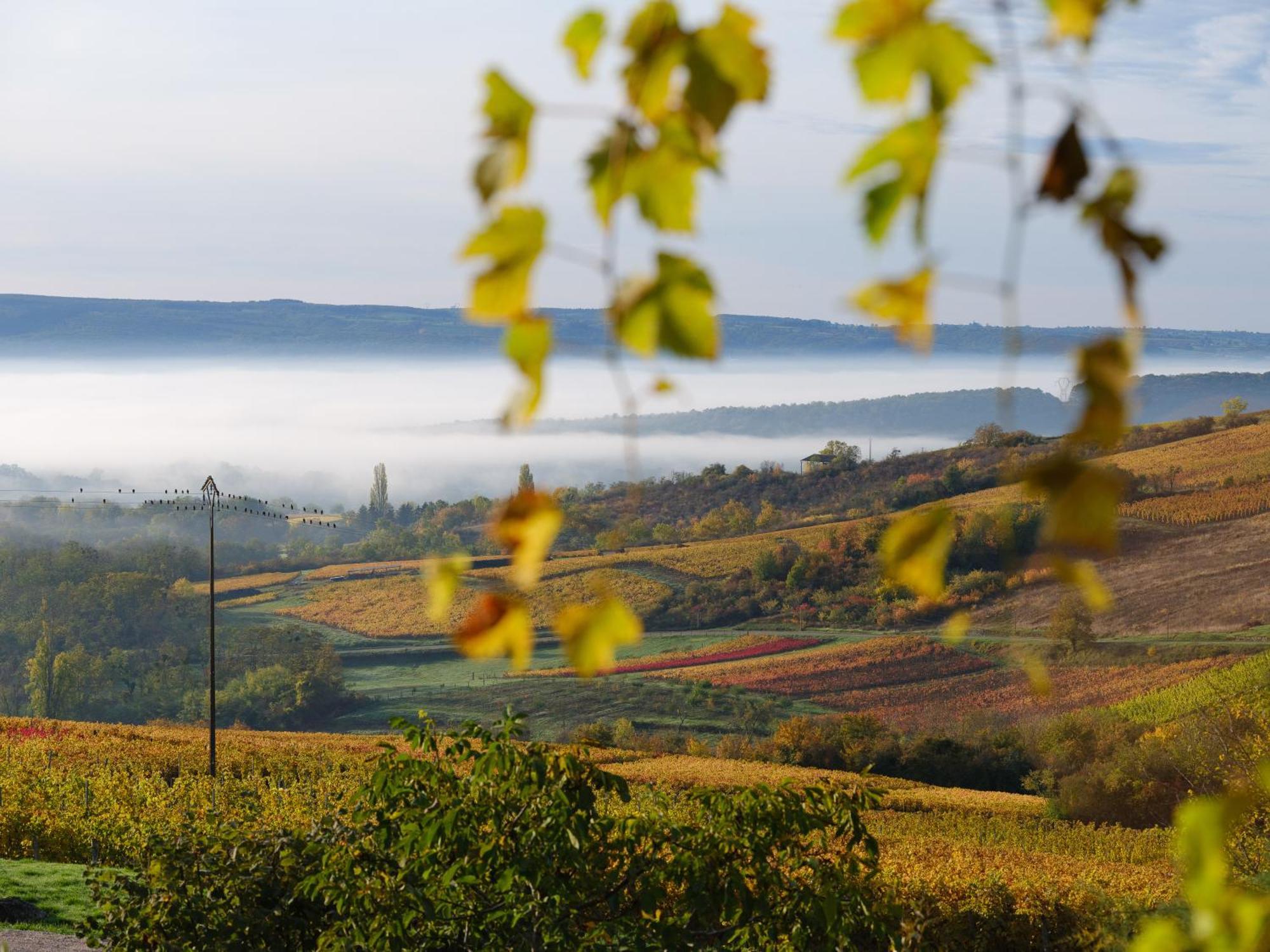 Le Logis 46° / 4° Bed and Breakfast Saint-Sernin-du-Plain Exterior foto