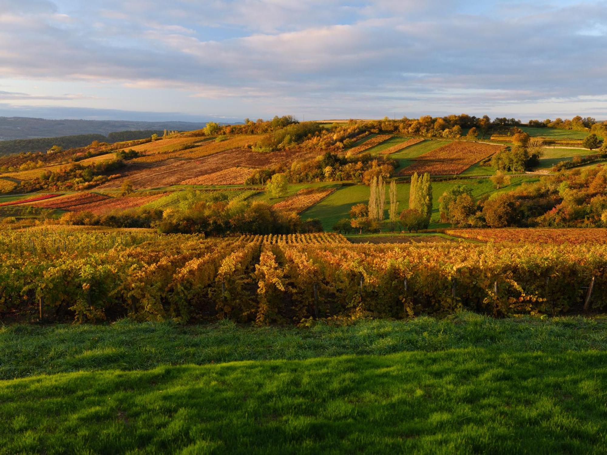 Le Logis 46° / 4° Bed and Breakfast Saint-Sernin-du-Plain Exterior foto